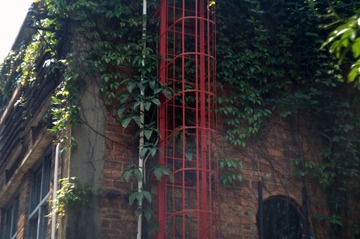 PICT2324.jpg