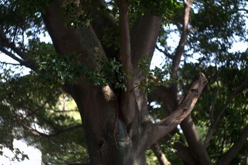 PICT2366.jpg