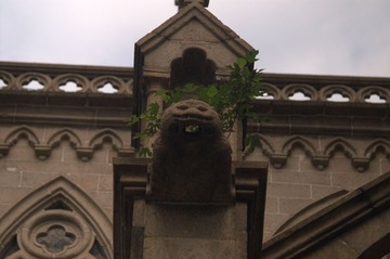 PICT2207.jpg