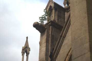 PICT2216.jpg