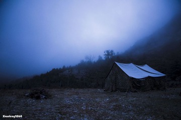 清晨的雪