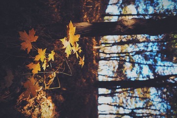 2013-11-25 125155(1)