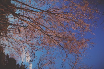 2013-11-25 125311(1)