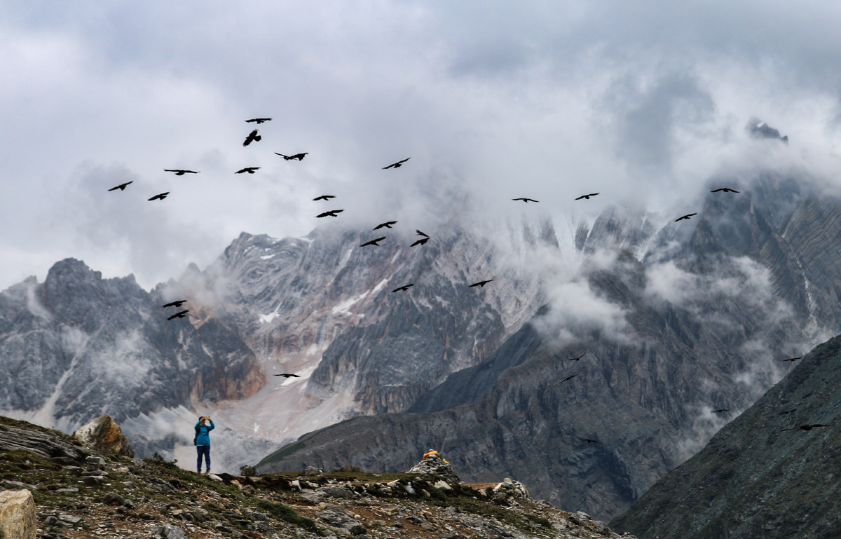 千山鸟飞绝稻城亚丁和海子山的鸟
