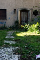 DSC04361.jpg