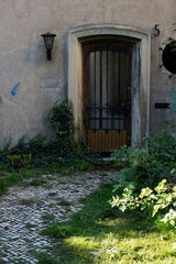 DSC04362.jpg