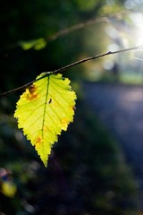 DSC04442.jpg
