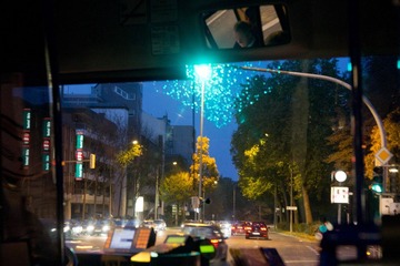 DSC04532.jpg