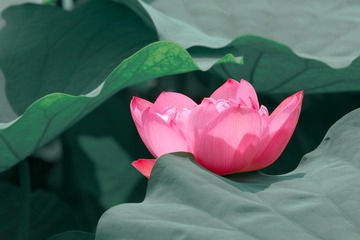 001