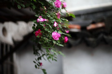 IMG_0531pingjiangroad_050111