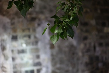 IMG_0632pingjiangroad_050111