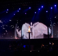 P4293264.jpg