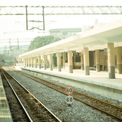 P1011061 (2)