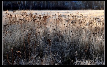 210121_1256291164