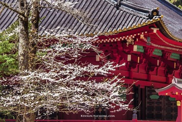 _DSC0084-1-2