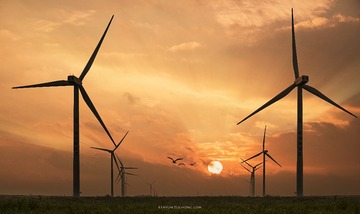 _DSC4926
