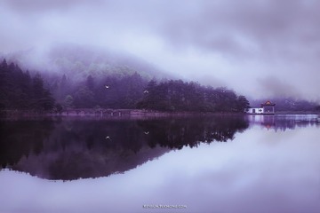 _DSC5000_modifi