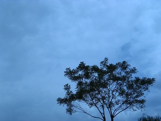 蓝调
