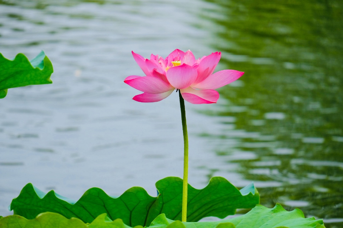 17541 - 王友彬144