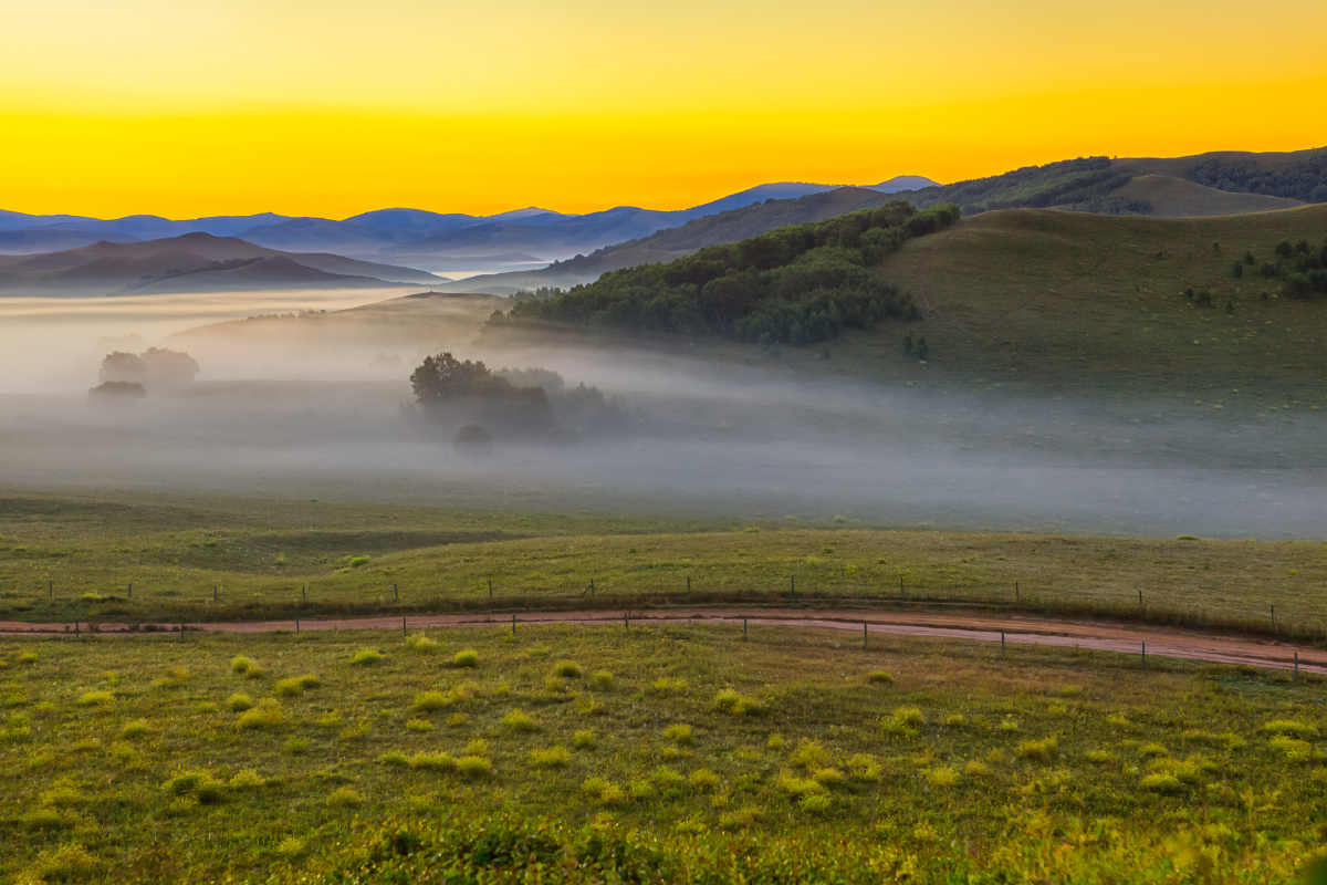 草原的薄雾笼盖苍茫大地