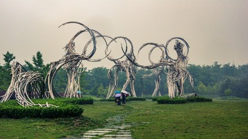 20140524-P1050630