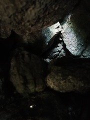 石缝中的光