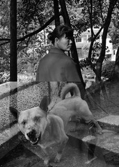 DSC00505-1
