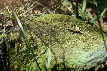 DSC07961_edited_
