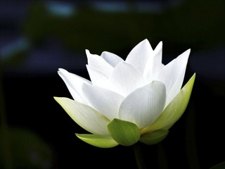 1758027