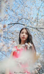 DPP_00066 修