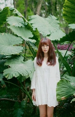 森~