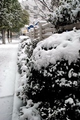 雪韵江南-02