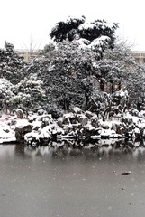 雪韵江南-15