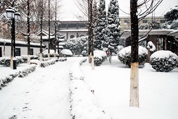 雪韵江南-17