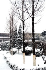 雪韵江南-18