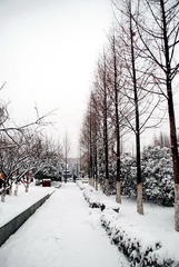 雪韵江南-20
