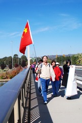 堪培拉万人护圣火-30