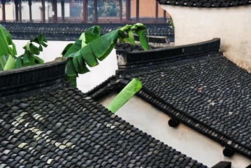 烟雨西塘-01