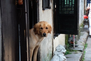 烟雨西塘-43