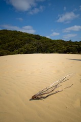 追逐阳光的旅程之二-245