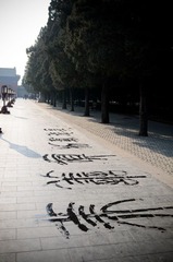 早安北京-36