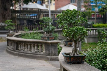 终于厦门 讲古-50