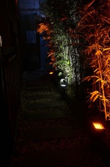 终于厦门 夜弦-05