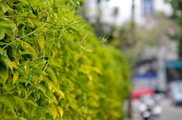 终于厦门 朝歌-15