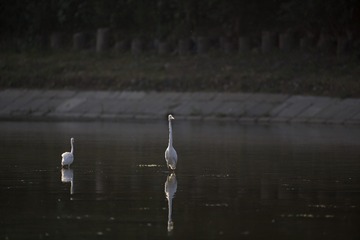 BW2Q8351