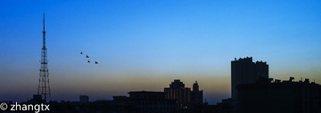_DSC2711