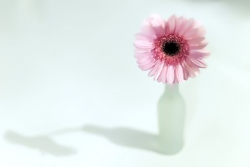 2014_摄影201412290163