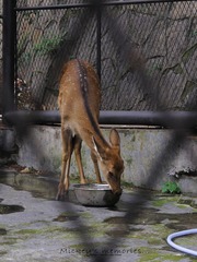 IMG_7096.JPG