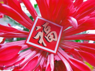 IMG_7385.JPG