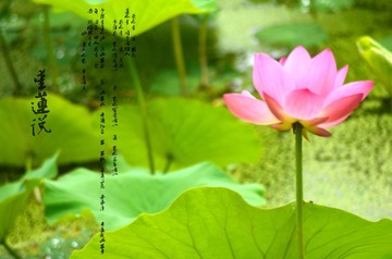 F0000149_